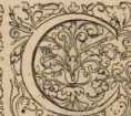 Figura da