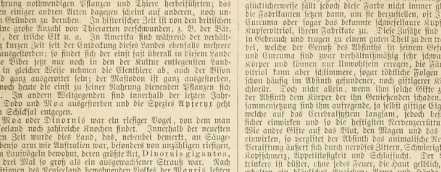 Abbildung aus