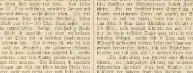 Abbildung aus