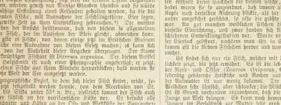 Abbildung aus