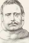 Figura din