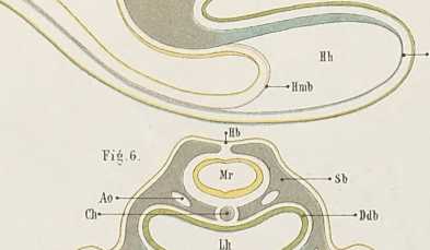 Illustration dans