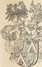 Abbildung