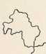 Illustration dans