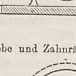 Abbildung aus