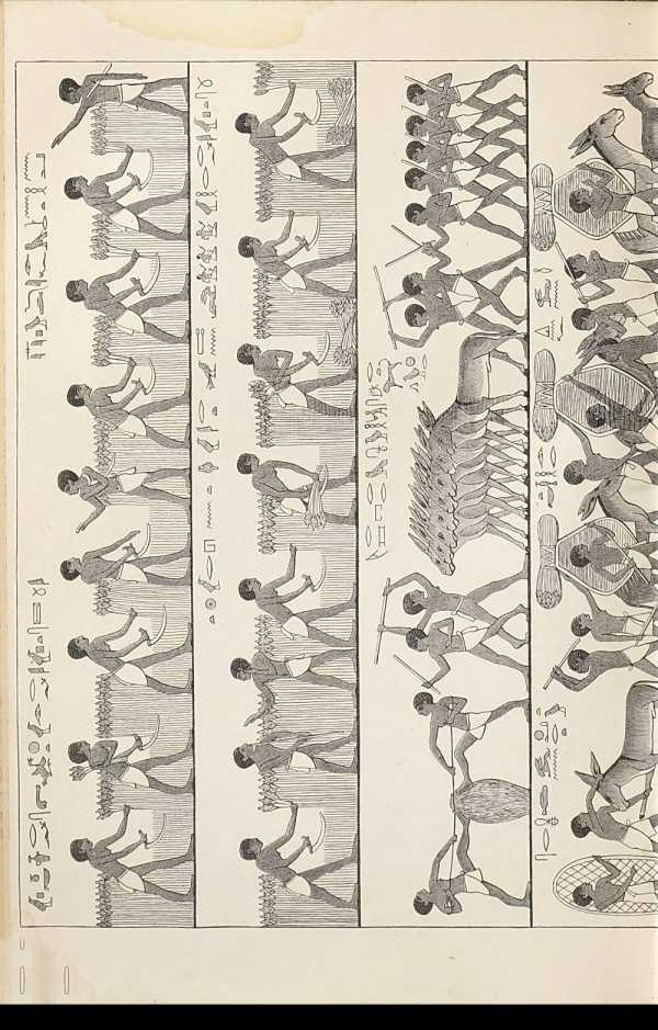 Illustration dans