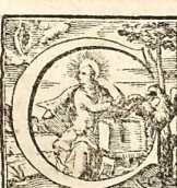 Figura din