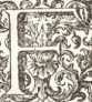 Figura din