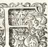 Figura din