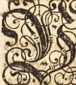 Figura da