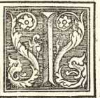 Figura din
