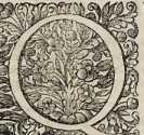 Figura din