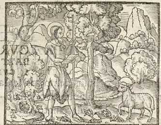 Figura din
