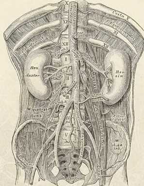 Figura da