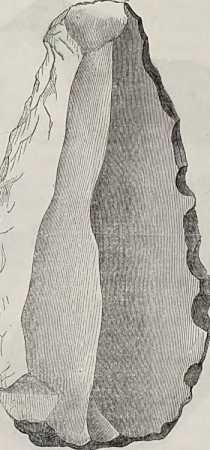 Figura da