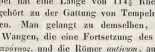 Abbildung aus
