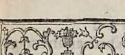 Figura din