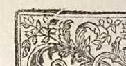 Figura din