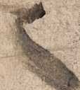 Figura