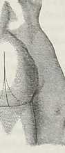Figura da