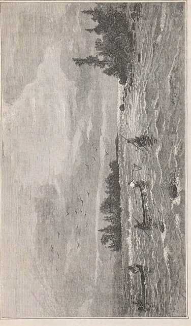 Figura de