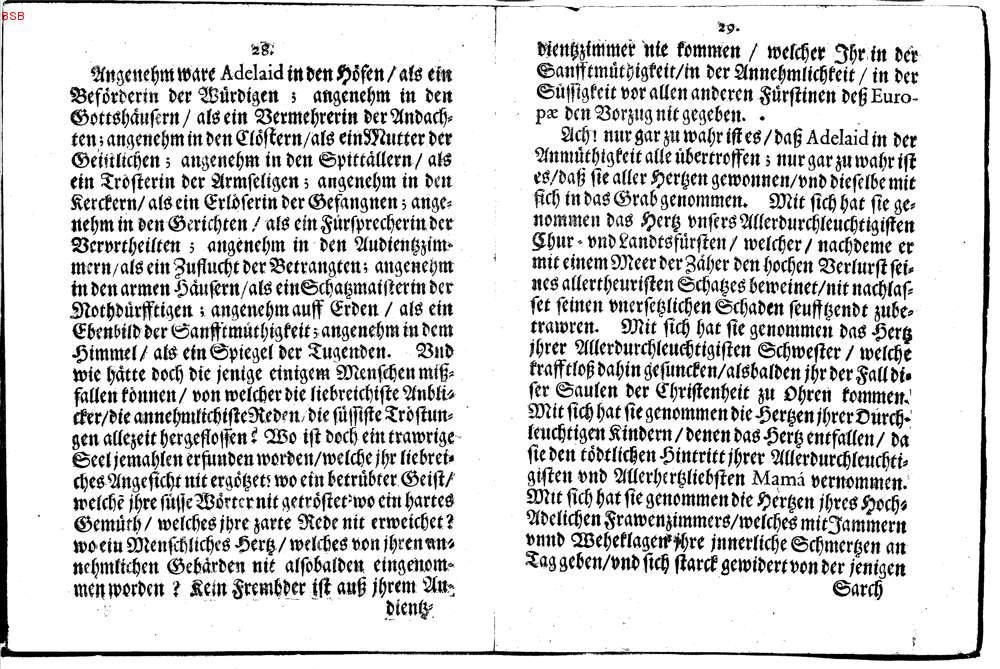 Image 00016