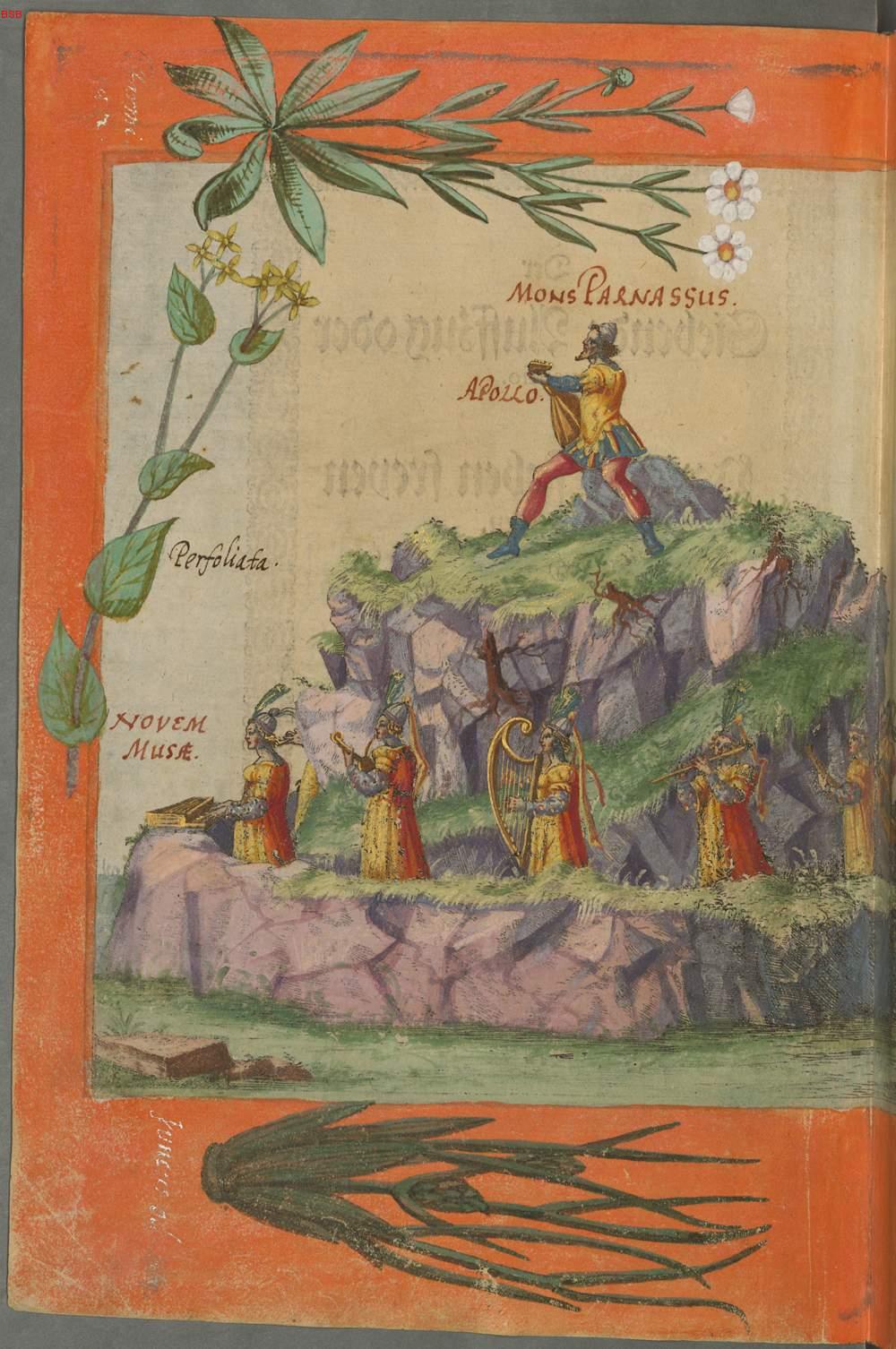 Image 00116