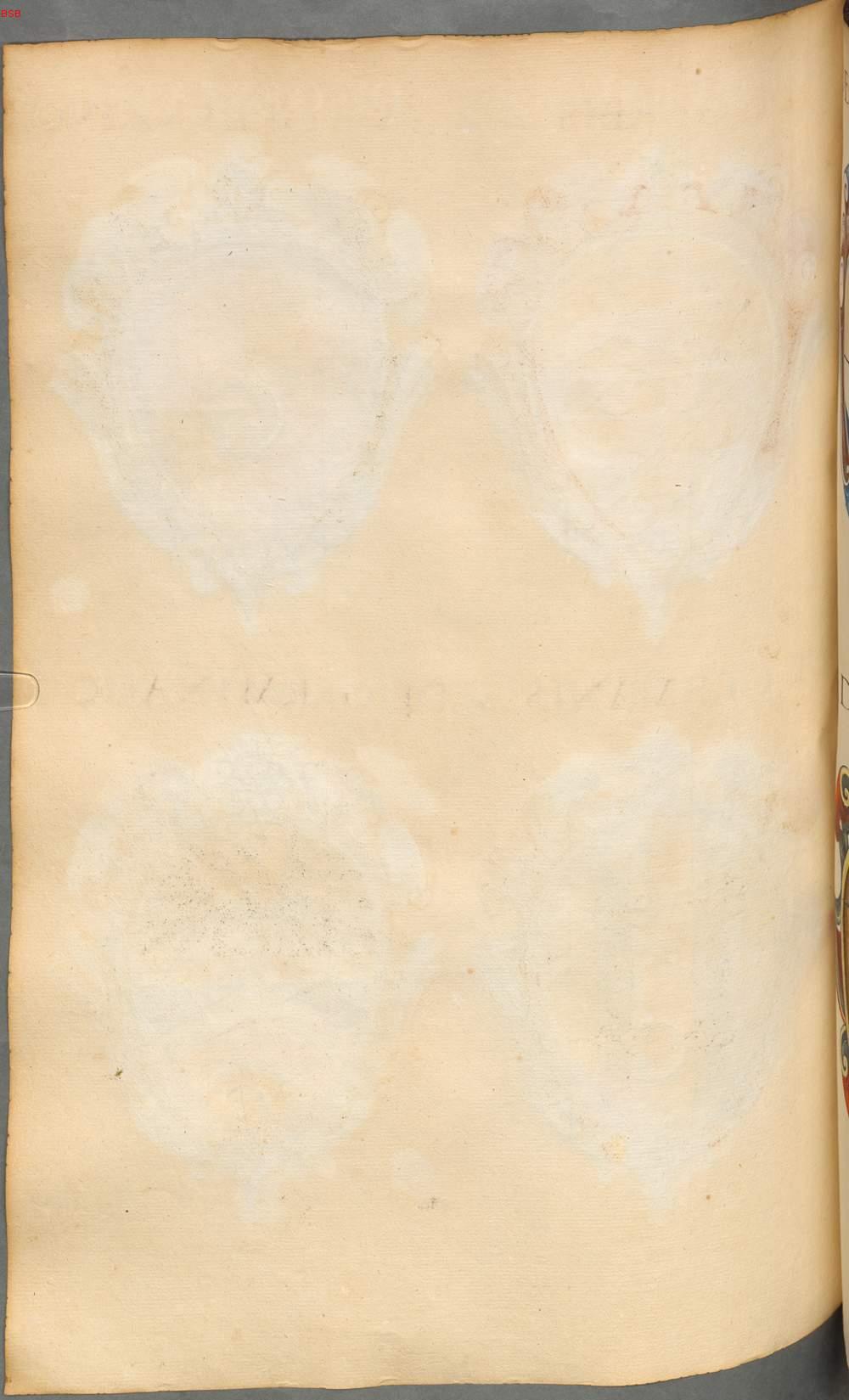 Image 00412