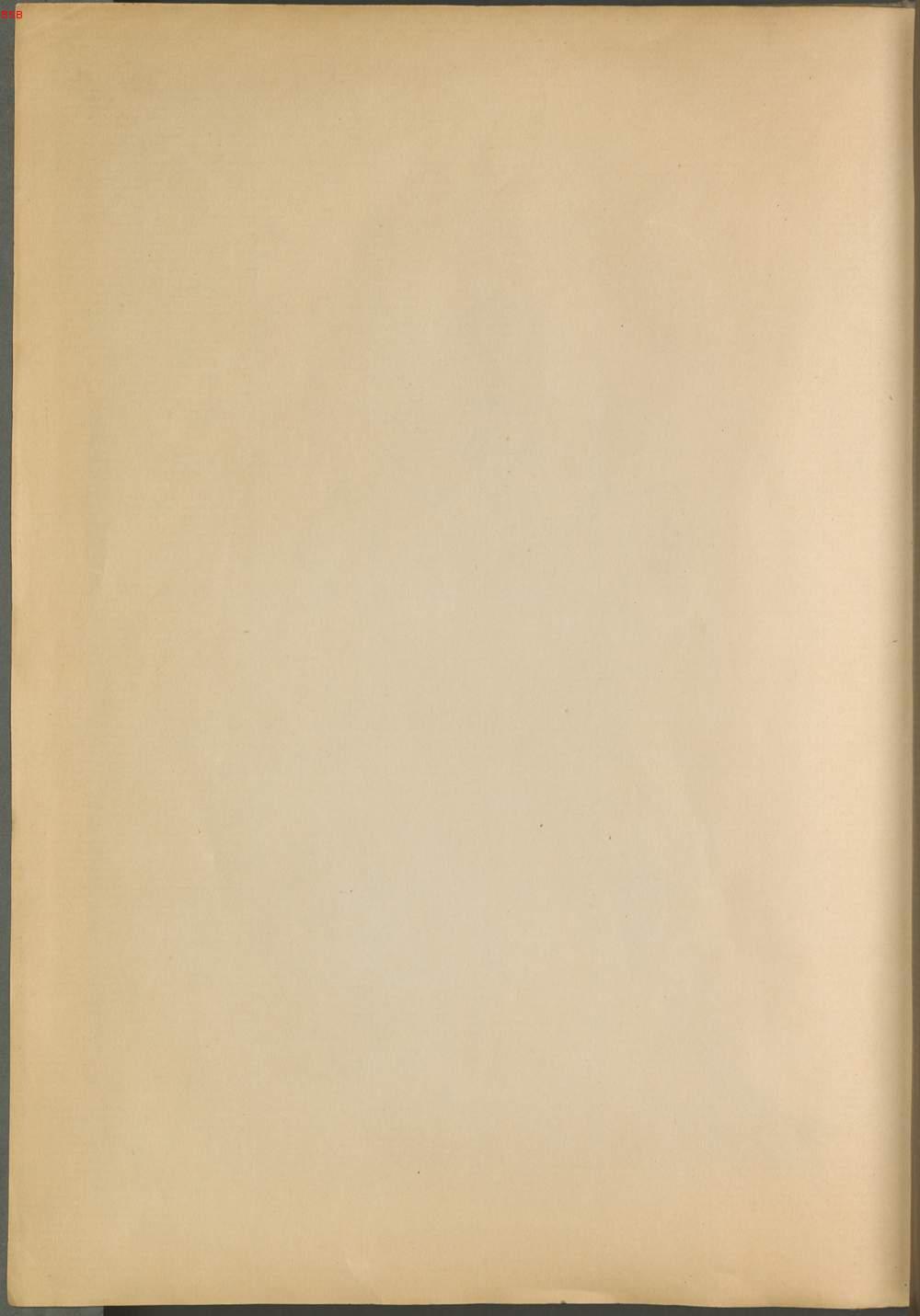 Image 00146