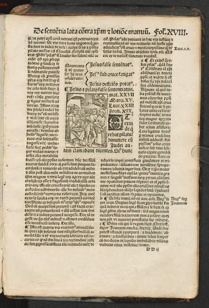 Image 00339