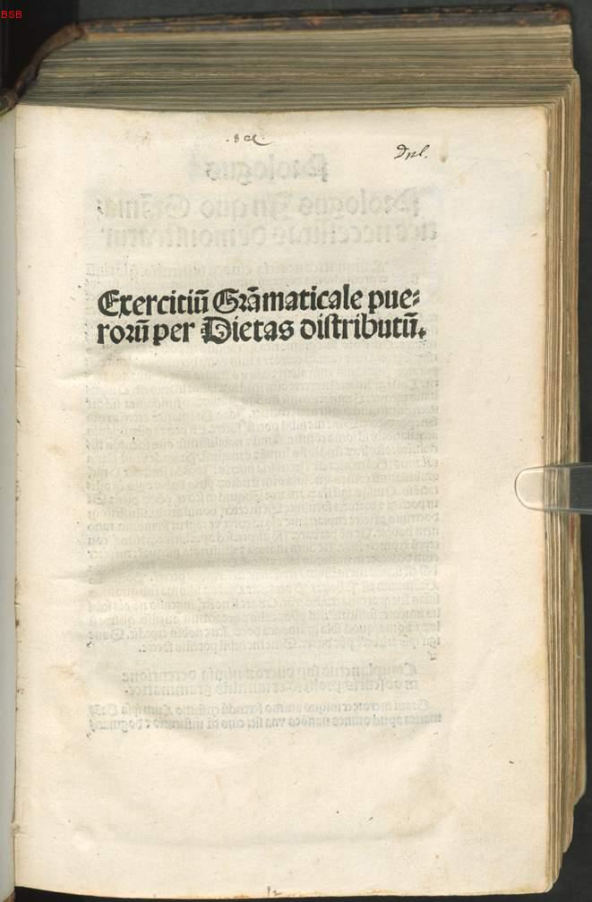 Image 00007