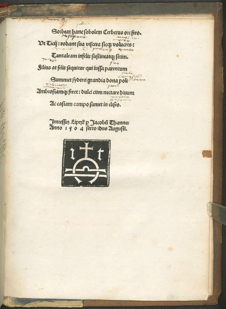 Image 00011