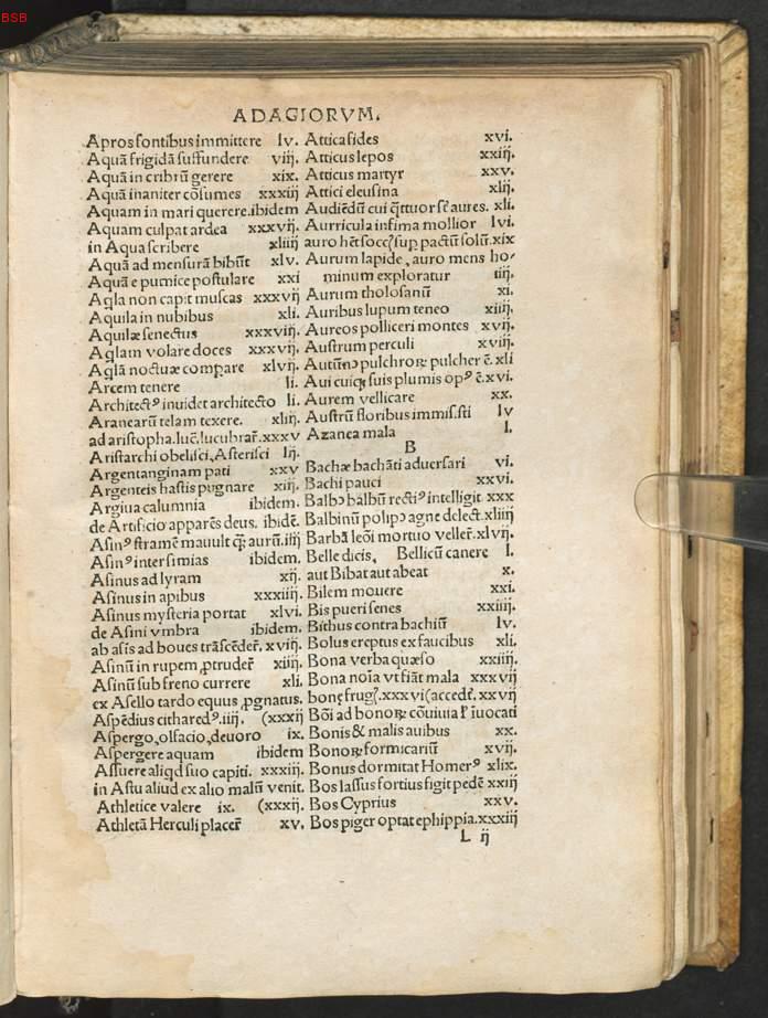 Image 00127