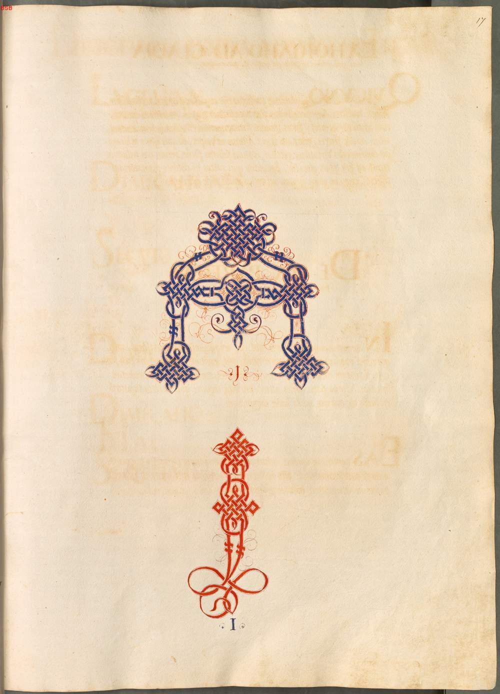 Image 00037