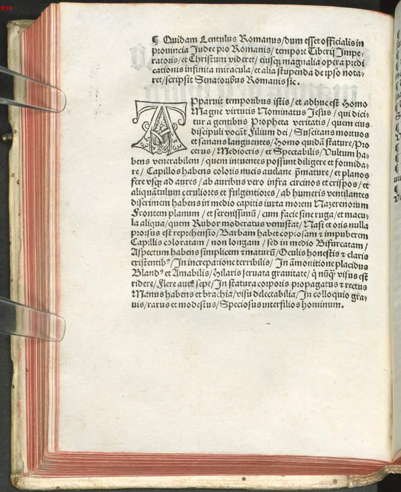 Image 00002