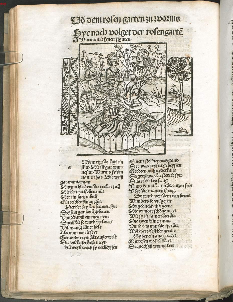Image 00318