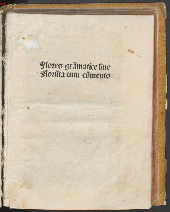 Image 00005