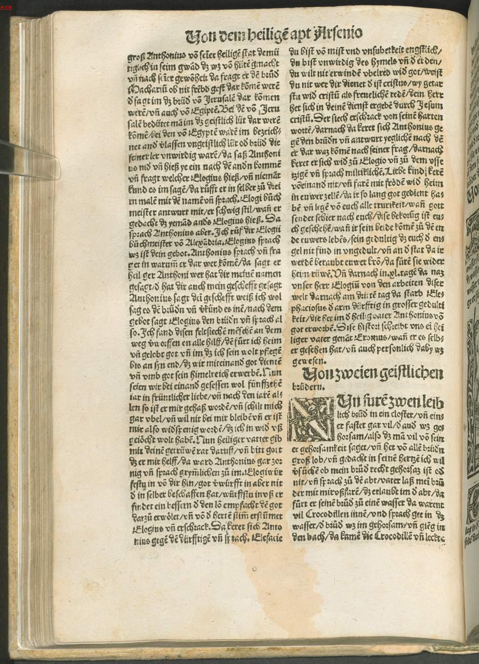 Image 00184