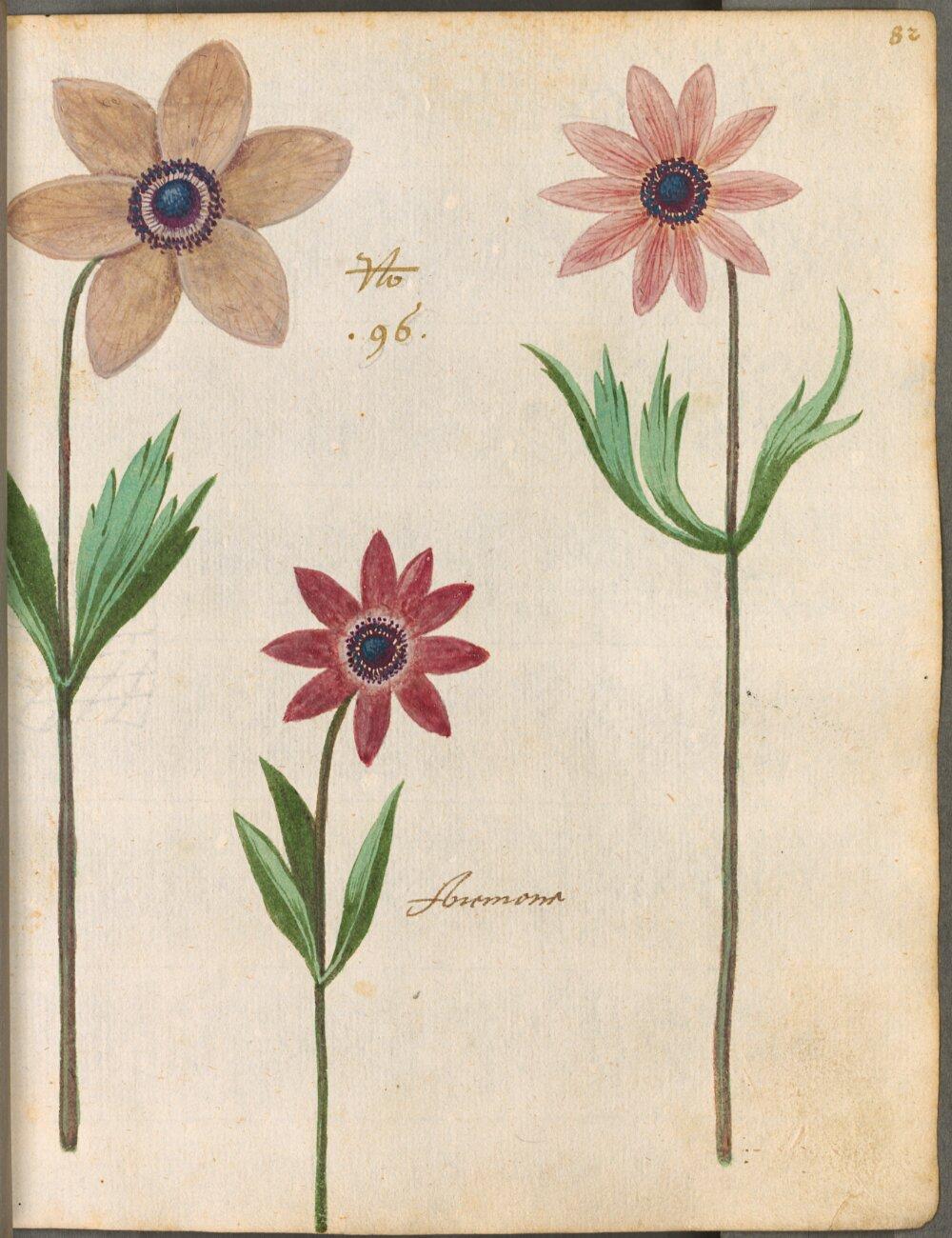 Image 00175
