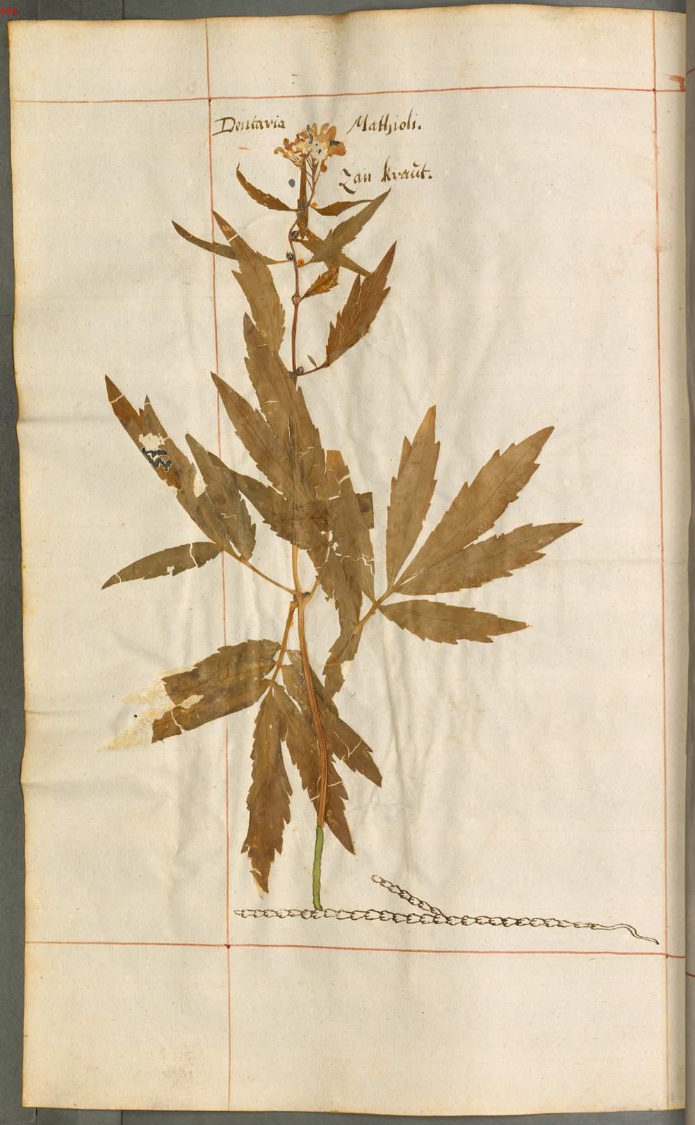 Image 00197
