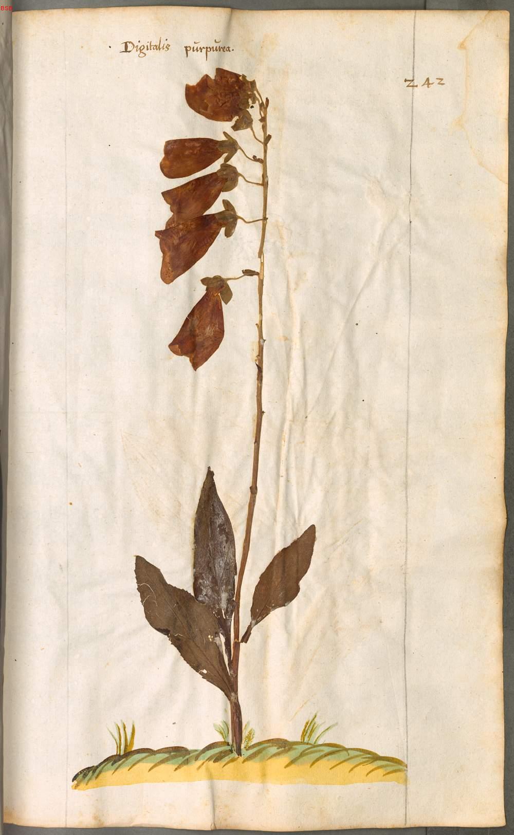 Image 00507