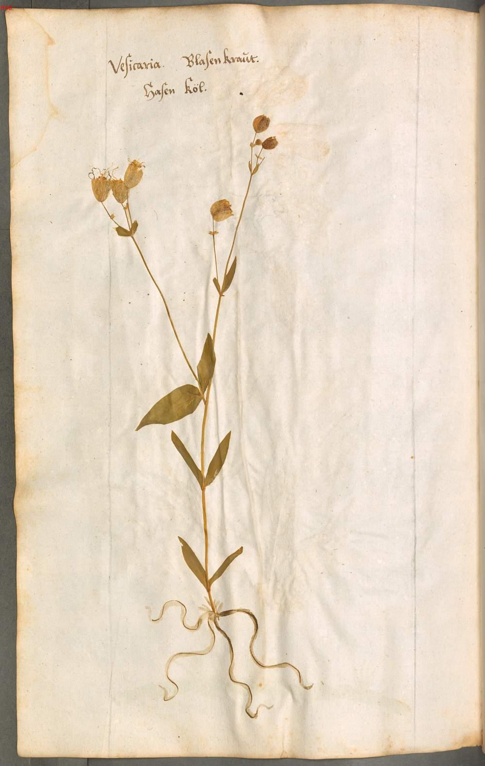Image 00508