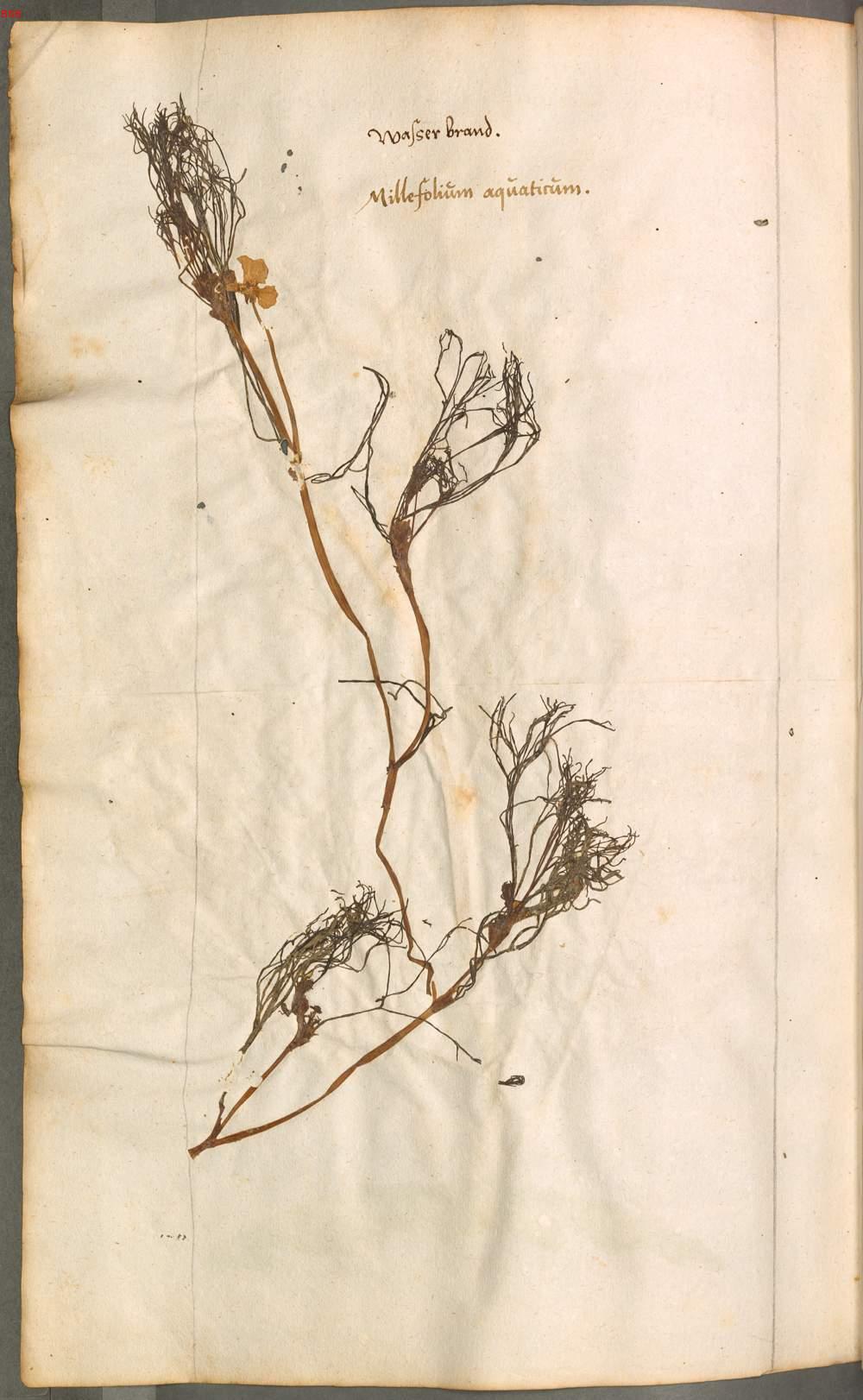 Image 00610