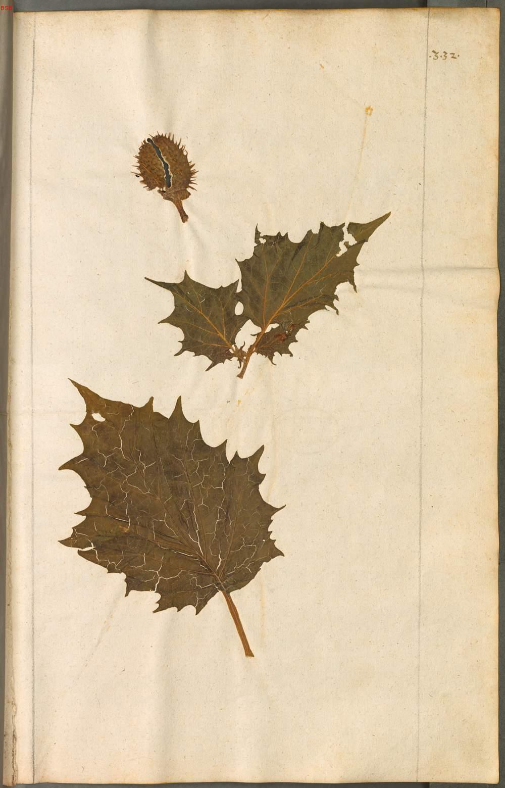 Image 00683