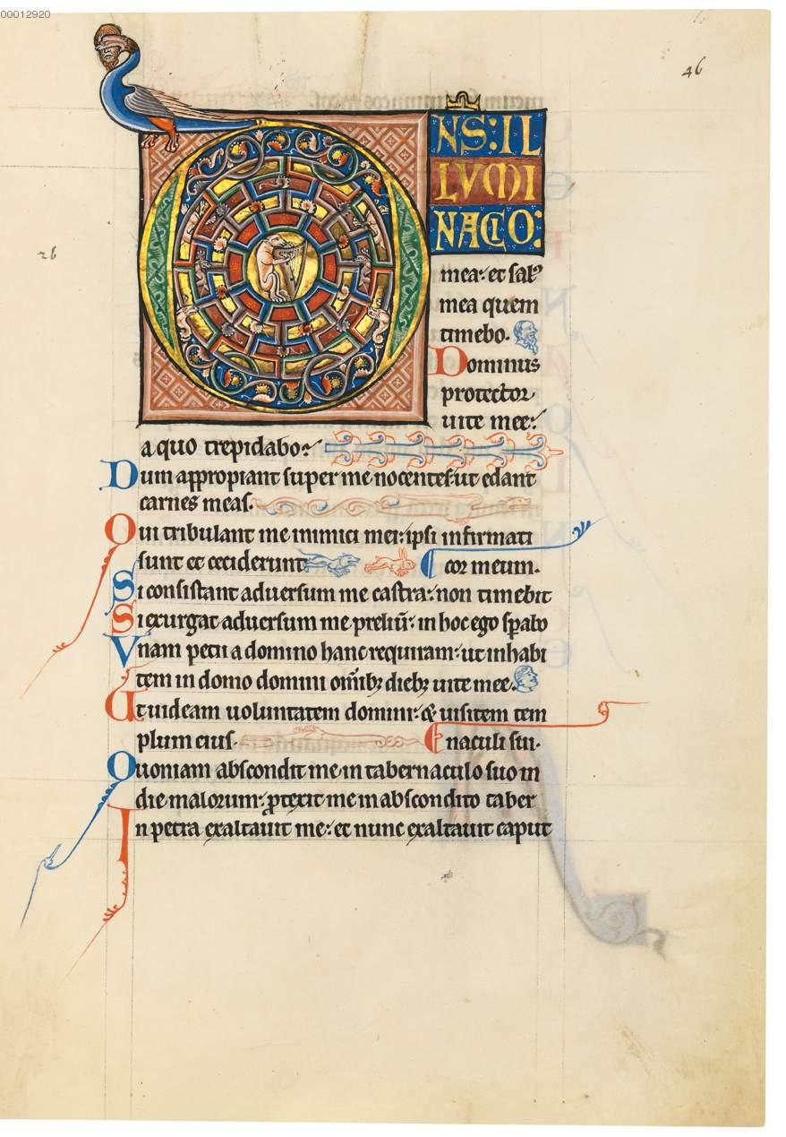 Zierinitiale O Mit Tierfiguren Weisse Lowen Und Im Zentrum Ein Harfe Spielendes Fabelwesen 46 Aus Lateinischer Psalter Aus England Bsb Clm 835 1 Viertel 13 Jh Digitalisiertes Buch