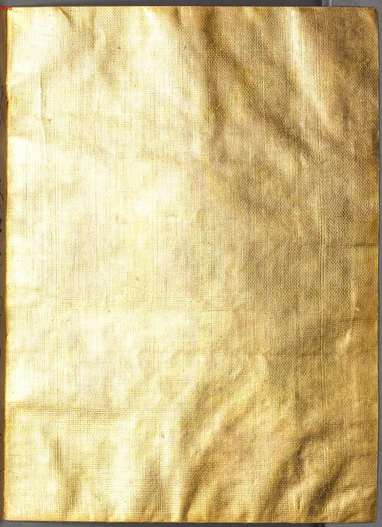 Image 00002
