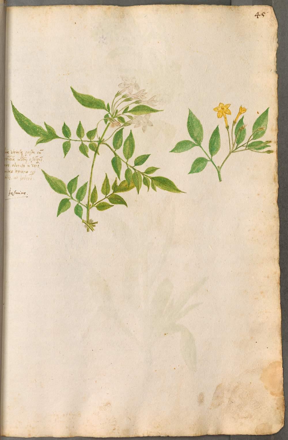 Image 00089