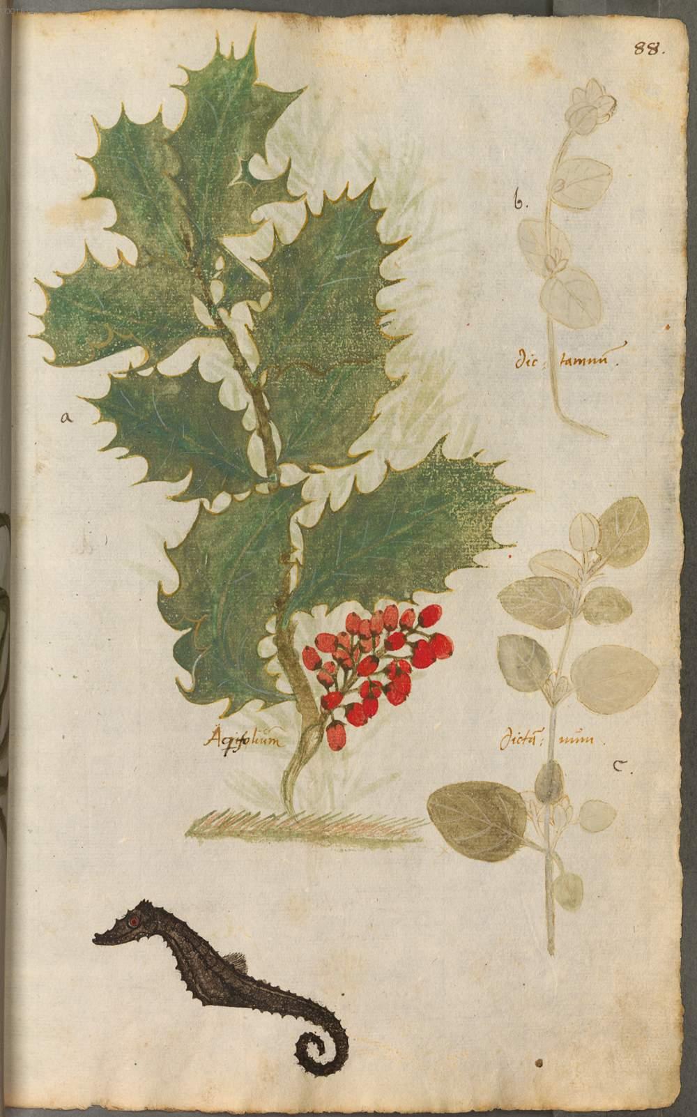 Image 00175