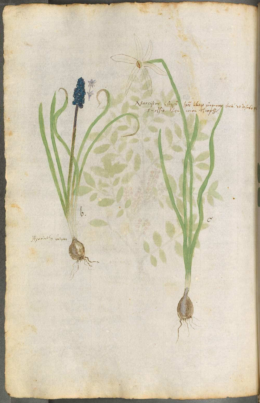 Image 00186