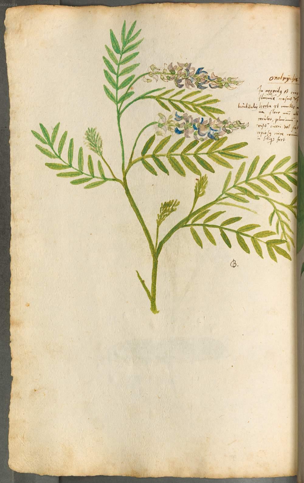 Image 00270